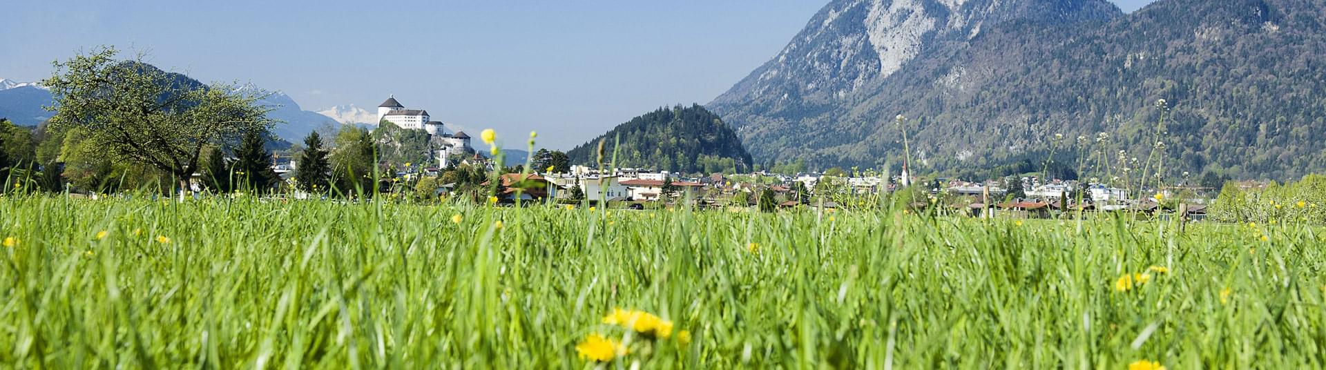 Stadt Kufstein - Blick über die Blumenwiese zur Festung