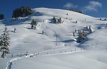 Tiefschneeparadies Skigebiet Kitzbühel