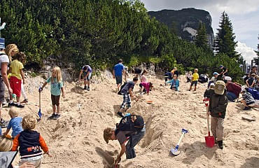 Kinder suchen Fosilien