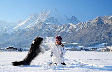 Winterwandern mit Hund in St. Johann in Tirol